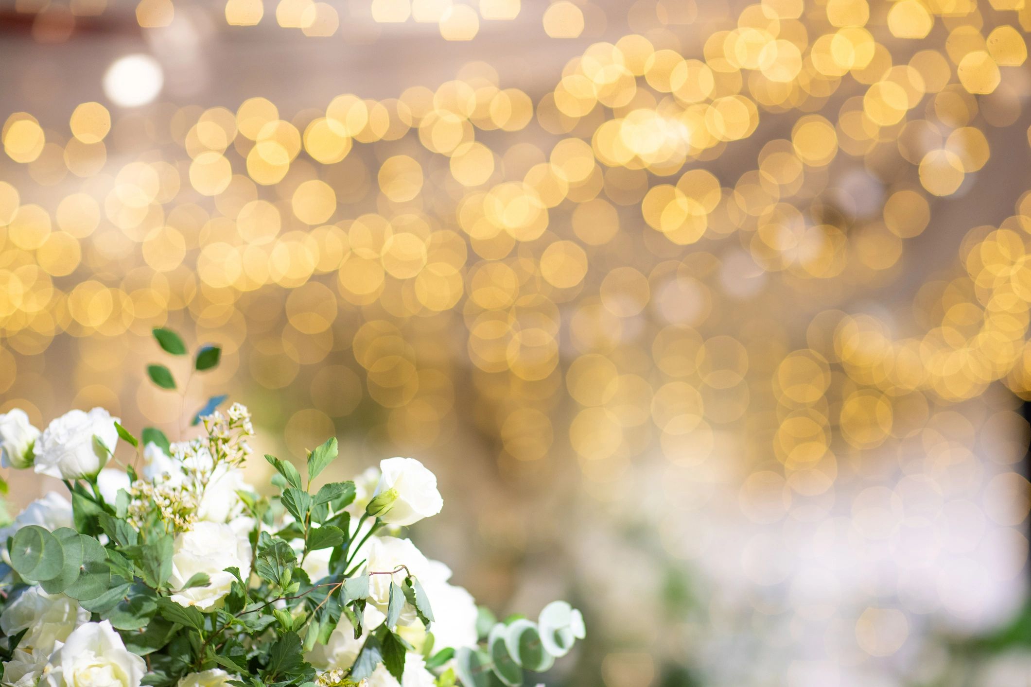 Soft flowers with warm golden light