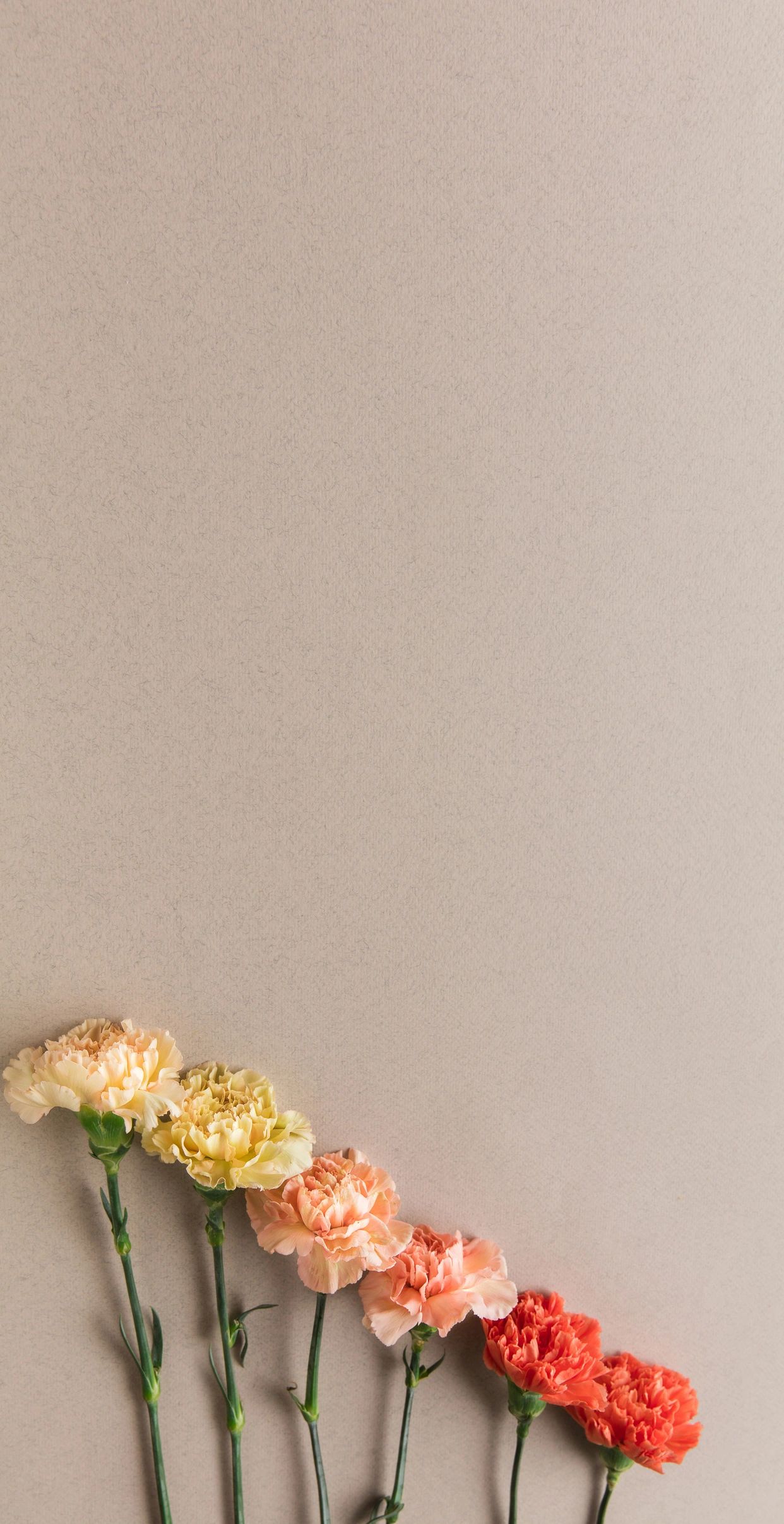 Pastel floral arrangement background