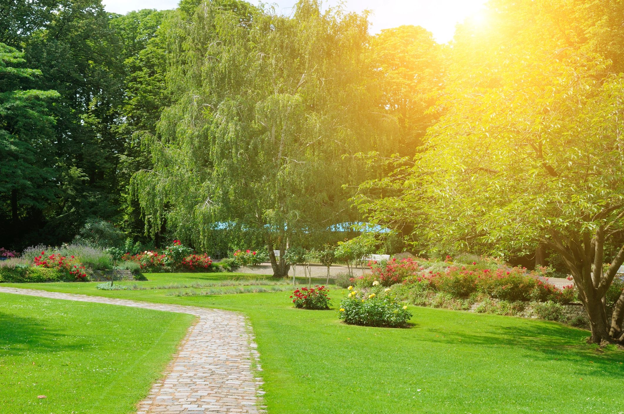 Sunlit garden path symbolizing reflection and remembrance