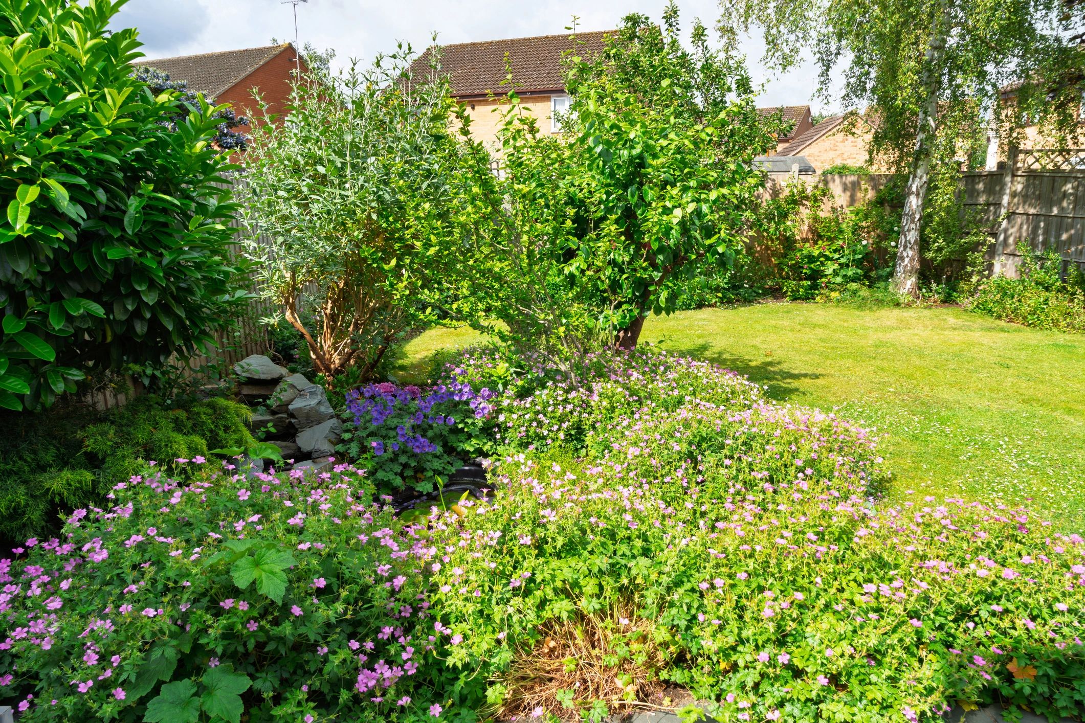 Peaceful garden pond with flowers
